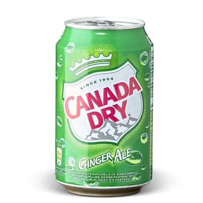 Canada dry ginger ale can 33 cl (24u.)